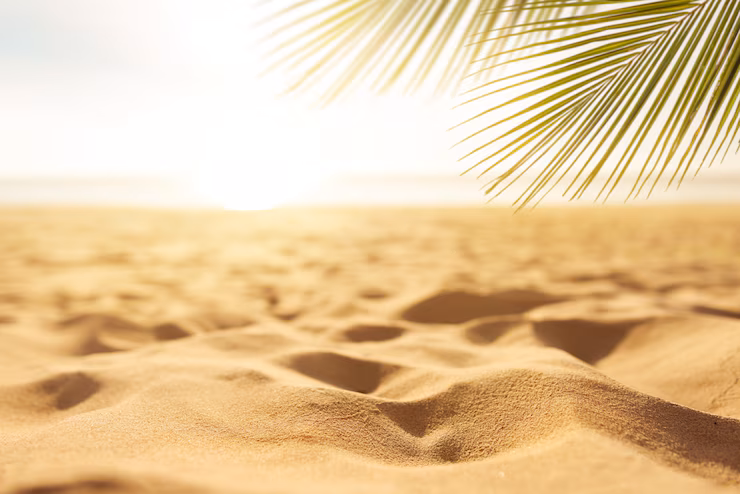 https://pioneermaxgroup.com/wp-content/uploads/2025/07/summer_52701-15.avif